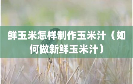 鲜玉米怎样制作玉米汁（如何做新鲜玉米汁）
