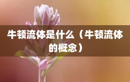 牛顿流体是什么（牛顿流体的概念）