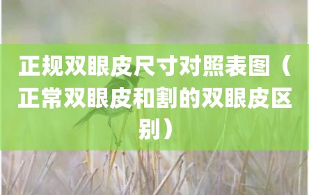 正规双眼皮尺寸对照表图（正常双眼皮和割的双眼皮区别）