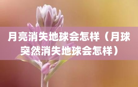 月亮消失地球会怎样（月球突然消失地球会怎样）