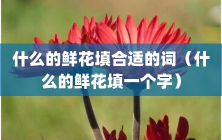 什么的鲜花填合适的词（什么的鲜花填一个字）