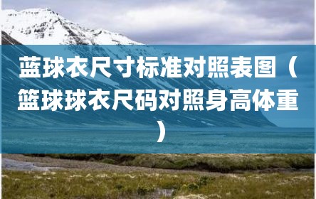 蓝球衣尺寸标准对照表图（篮球球衣尺码对照身高体重）