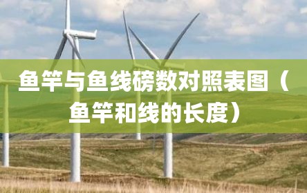 鱼竿与鱼线磅数对照表图（鱼竿和线的长度）
