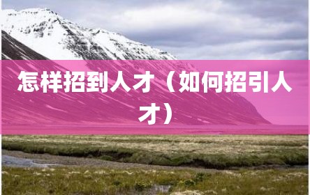 怎样招到人才（如何招引人才）