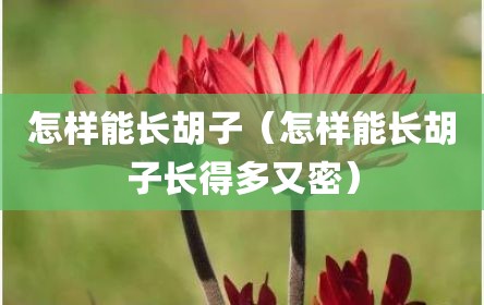 怎样能长胡子（怎样能长胡子长得多又密）