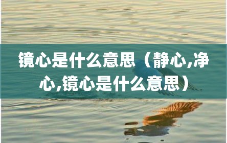 镜心是什么意思（静心,净心,镜心是什么意思）