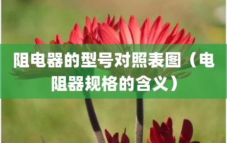 阻电器的型号对照表图（电阻器规格的含义）