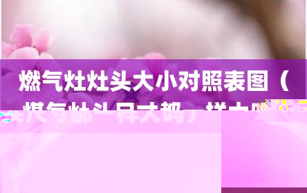 燃气灶灶头大小对照表图（煤气灶头尺寸都一样大吗）