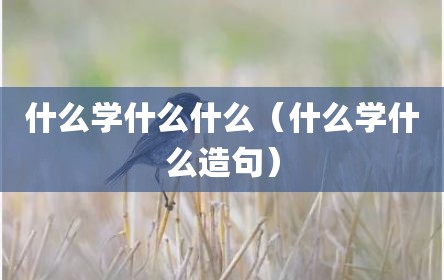 什么学什么什么（什么学什么造句）