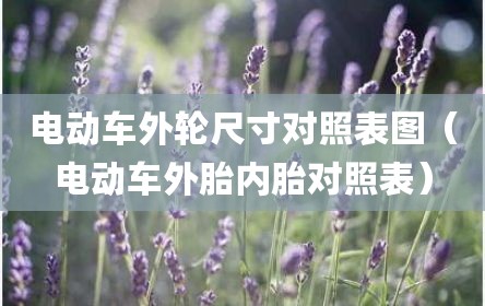 电动车外轮尺寸对照表图（电动车外胎内胎对照表）