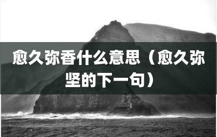 愈久弥香什么意思（愈久弥坚的下一句）