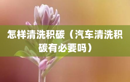 怎样清洗积碳（汽车清洗积碳有必要吗）