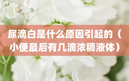尿滴白是什么原因引起的（小便最后有几滴浓稠液体）