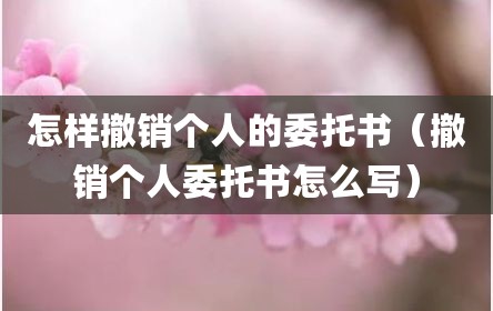 怎样撤销个人的委托书（撤销个人委托书怎么写）