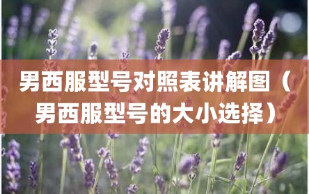 男西服型号对照表讲解图（男西服型号的大小选择）