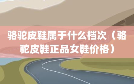 骆驼皮鞋属于什么档次（骆驼皮鞋正品女鞋价格）