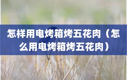 怎样用电烤箱烤五花肉（怎么用电烤箱烤五花肉）