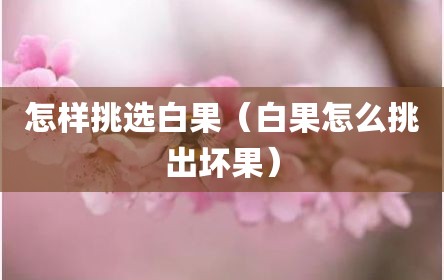 怎样挑选白果（白果怎么挑出坏果）