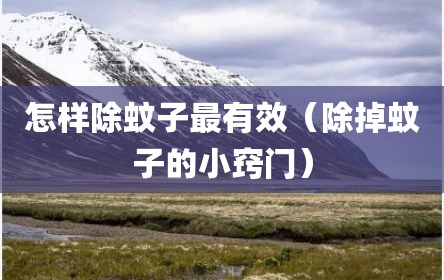 怎样除蚊子最有效（除掉蚊子的小窍门）