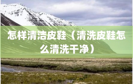 怎样清洁皮鞋（清洗皮鞋怎么清洗干净）