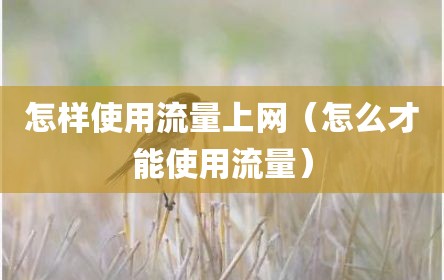 怎样使用流量上网（怎么才能使用流量）