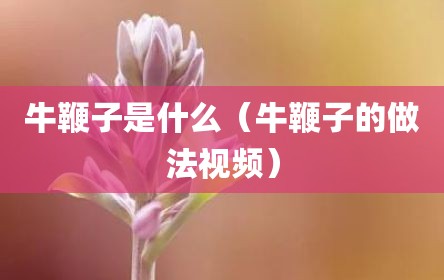 牛鞭子是什么（牛鞭子的做法视频）