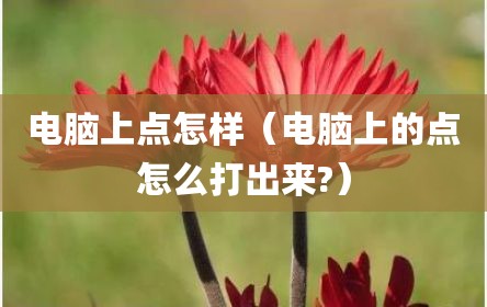 电脑上点怎样（电脑上的点怎么打出来?）