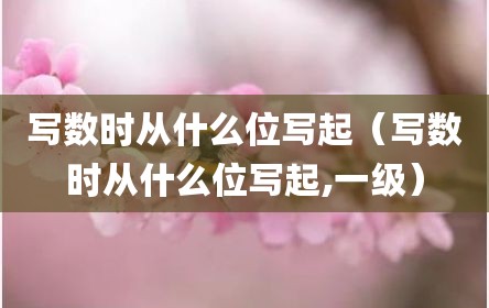 写数时从什么位写起（写数时从什么位写起,一级）