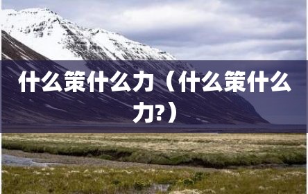 什么策什么力（什么策什么力?）