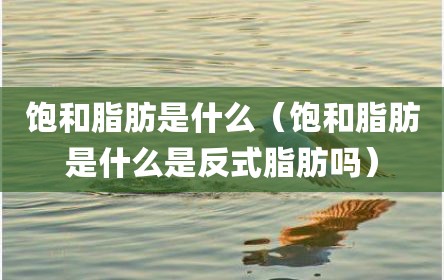 饱和脂肪是什么（饱和脂肪是什么是反式脂肪吗）
