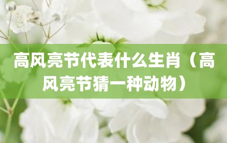 高风亮节代表什么生肖（高风亮节猜一种动物）