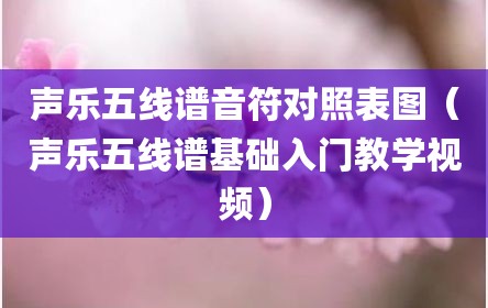 声乐五线谱音符对照表图（声乐五线谱基础入门教学视频）