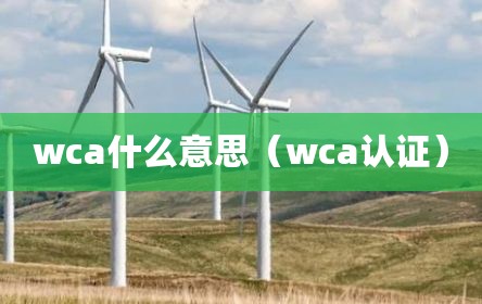 wca什么意思（wca认证）