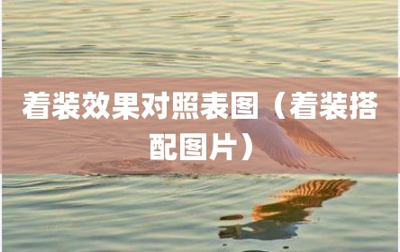 着装效果对照表图（着装搭配图片）