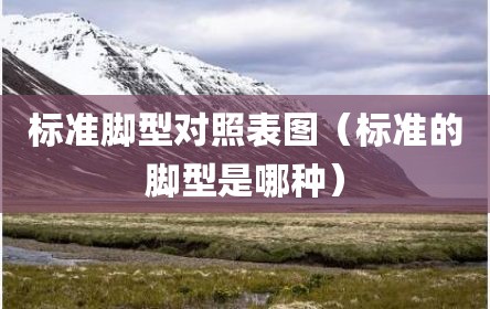 标准脚型对照表图（标准的脚型是哪种）