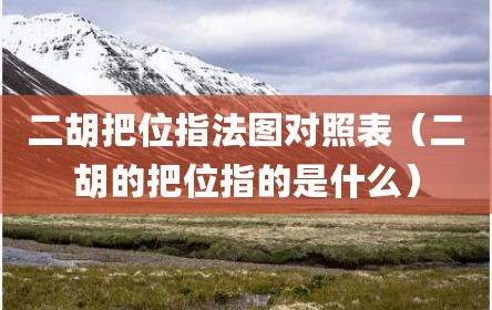 二胡把位指法图对照表（二胡的把位指的是什么）