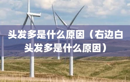 头发多是什么原因（右边白头发多是什么原因）