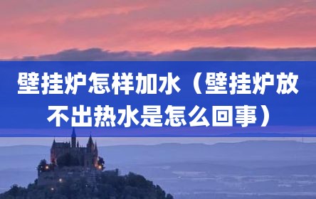 壁挂炉怎样加水（壁挂炉放不出热水是怎么回事）