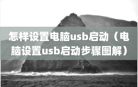 怎样设置电脑usb启动（电脑设置usb启动步骤图解）