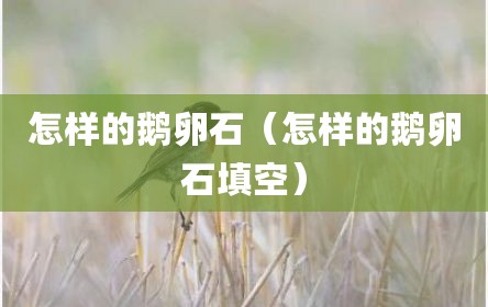 怎样的鹅卵石（怎样的鹅卵石填空）