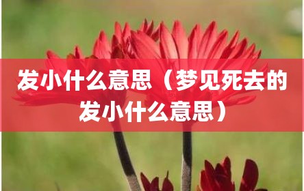 发小什么意思（梦见死去的发小什么意思）