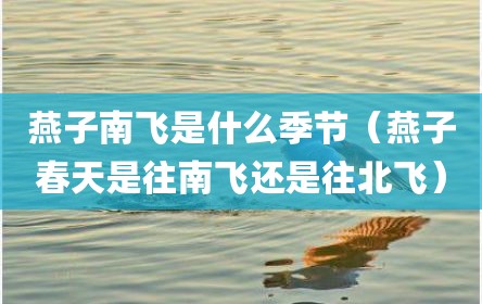 燕子南飞是什么季节（燕子春天是往南飞还是往北飞）
