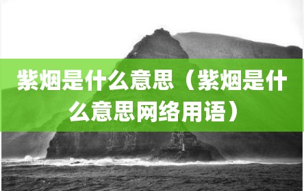 紫烟是什么意思（紫烟是什么意思网络用语）