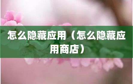 怎么隐藏应用（怎么隐藏应用商店）