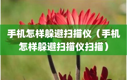 手机怎样躲避扫描仪（手机怎样躲避扫描仪扫描）