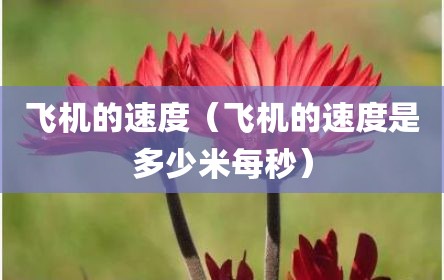 飞机的速度（飞机的速度是多少米每秒）