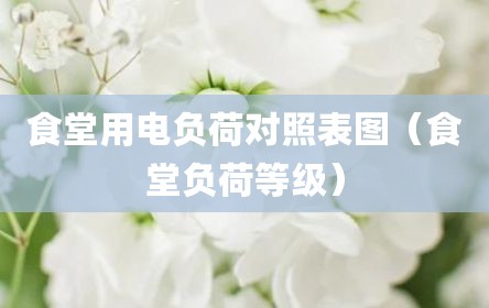 食堂用电负荷对照表图（食堂负荷等级）