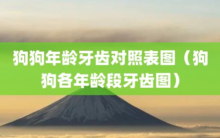 狗狗年龄牙齿对照表图（狗狗各年龄段牙齿图）