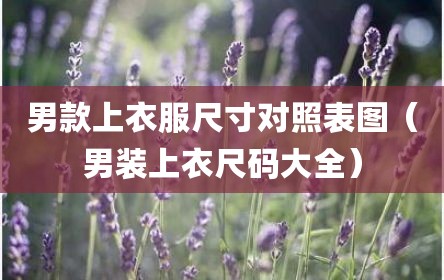 男款上衣服尺寸对照表图（男装上衣尺码大全）