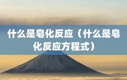 什么是皂化反应（什么是皂化反应方程式）